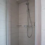 1834&spa كولمار
